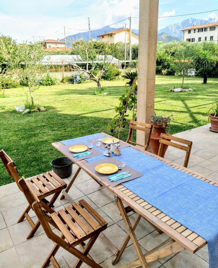 Agriturismo La Vite Maritata Pietrasanta Dış mekan fotoğraf