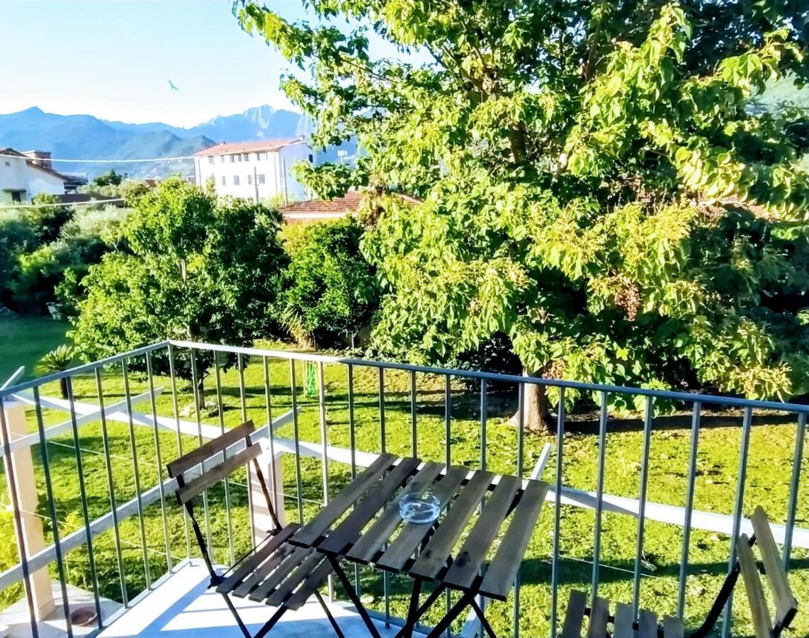Agriturismo La Vite Maritata Pietrasanta Dış mekan fotoğraf